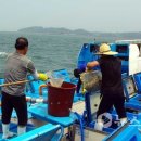 연안목장 이미지