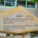 일운초등학교병설유치원 티스토리