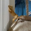 코니사진관 이미지