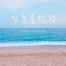 청춘 - 남동구 청능대로595번길 39 | 청춘