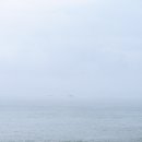 콩돌해변 Daum카페