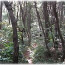 동대부속유치원 이미지