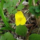 부춘마을 이미지