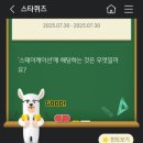 홀리스테이