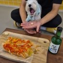 으르렁대 이미지