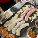 11545-03-35-26 | # 26. 03월의 소중한 일상