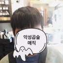 브라더헤어 이미지