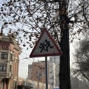 중앙청과슈퍼 | 약한자는살아남지못한다 - 우즈벡 카자흐 여행기 1