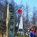 남산수산 이미지
