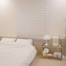 스테이다독 이미지