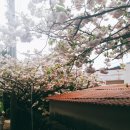 회수동-4 이미지