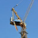 물 속 골리앗 이미지