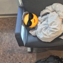 P양과C군 이미지