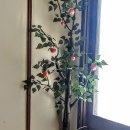 꿈꾸는 정원 이미지