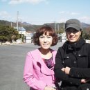 (주)고려바이오홍삼 이미지