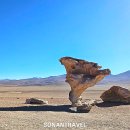 돌과 바람 호스텔 이미지