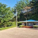 예당관광지 B-야영장 이미지