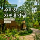 서울 근교 추천｜수락산 자연휴양림 수락휴 3호 초록빛 오후 숙박 후기