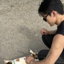 윤수목장 이미지