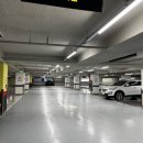 파라드시티 이미지