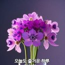 ♤그대 항상 청춘임을 잊지 마라♧ 이미지