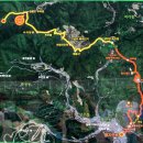 6월10일(토요일) 태백산 금대봉~대덕산 야생화 탐방 이미지