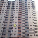 오조산로 이미지