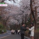 토니 티스토리