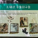 평창 우통수 | &lt;강원도 평창&gt; 전나무 숲길 산책 - 오대산 월정사 탐방기
