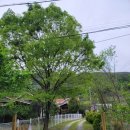 밀양아트펜션 | 수영장이 있는 밀양 독채 펜션 밀양쏠마레펜션 후기~