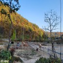 철원랜드 이미지