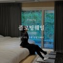 (주)블루스파 | 플로팅웨일 가평 젠 스파 하우스 스톤 301호 가평 풀빌라 지우펀 감성 자쿠지