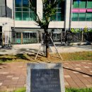 양원리우물 이미지