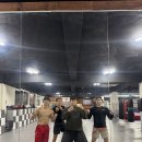 조치원 세종복싱클럽 이미지