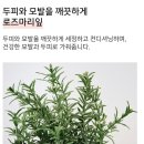 킴스케어시스템