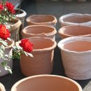 로자리안 이미지