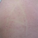 메어리벳의원 이미지