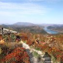 김수자농장 이미지