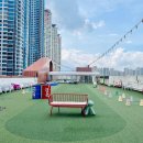 스포인 | 부산 애견동반 스포독 내돈내산 후기