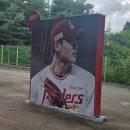현창크리닝 | 250827~250828 KIA TIGERS 원정 직관 후기 @SSG 랜더스 필드 _ 내가 연승 요정이라니