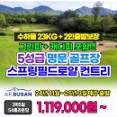 주식회사 스프링필드 네이버블로그