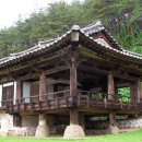 김유