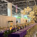 2025 순천뷰티페스타(본행사) | 컬리푸드페스타 2025 꿀팁/준비물/혜자부스 총정리 - 대기업 부스 절대 먼저 가지마세요