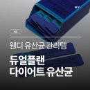 KY식품 | 웬디유산균 프로뉴트리션 듀얼플랜 유산균 올리브영1위 관리템 후기