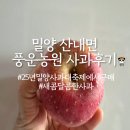 풍운농장 | 밀양 산내면 풍운농원 사과구매후기(feat.25년밀양사과 대축제에서 구매함)(25.11.09)