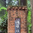 대한다원매표소주 | 🎯 보성 대한다원 녹차밭! 비 오고 흐린 날 가도 운치 폭발하는 솔직후기