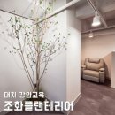 조화플라워 인테리어, 맞춤 실내조경! 대치동 강안교육, 벽면녹화/자체제작나무