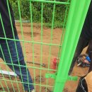 성실목장 | [공지] 제주도휀스울타리견적전문시공업체 - 별하공방 정부장 구좌읍 상도리 파크골프장 안전 경계 휀스