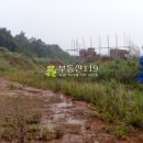 외리농장 Daum카페