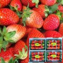 옥종농장 이미지